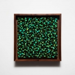 PHOTO-2026-02-20-15-59-38