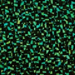 PHOTO-2026-02-20-15-59-38 2